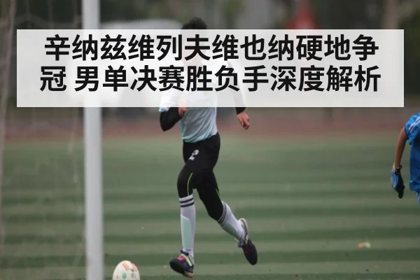 辛纳兹维列夫维也纳硬地争冠 男单决赛胜负手深度解析